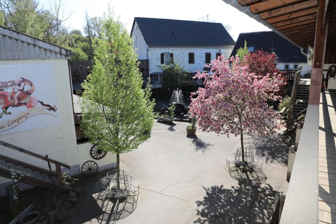 Münstermaifeld Schoene Wohnung Kleiner Onkel Auf Idyllischem Reiterhof Nahe Burg Eltz מראה חיצוני תמונה
